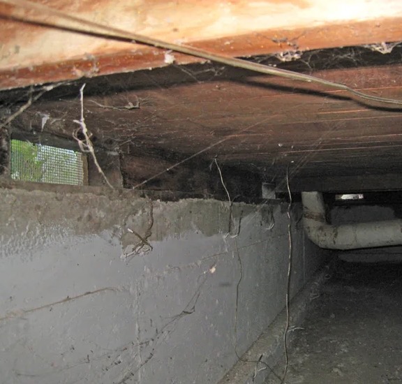 Crawlspace Encapsulation in Bellevue, WA