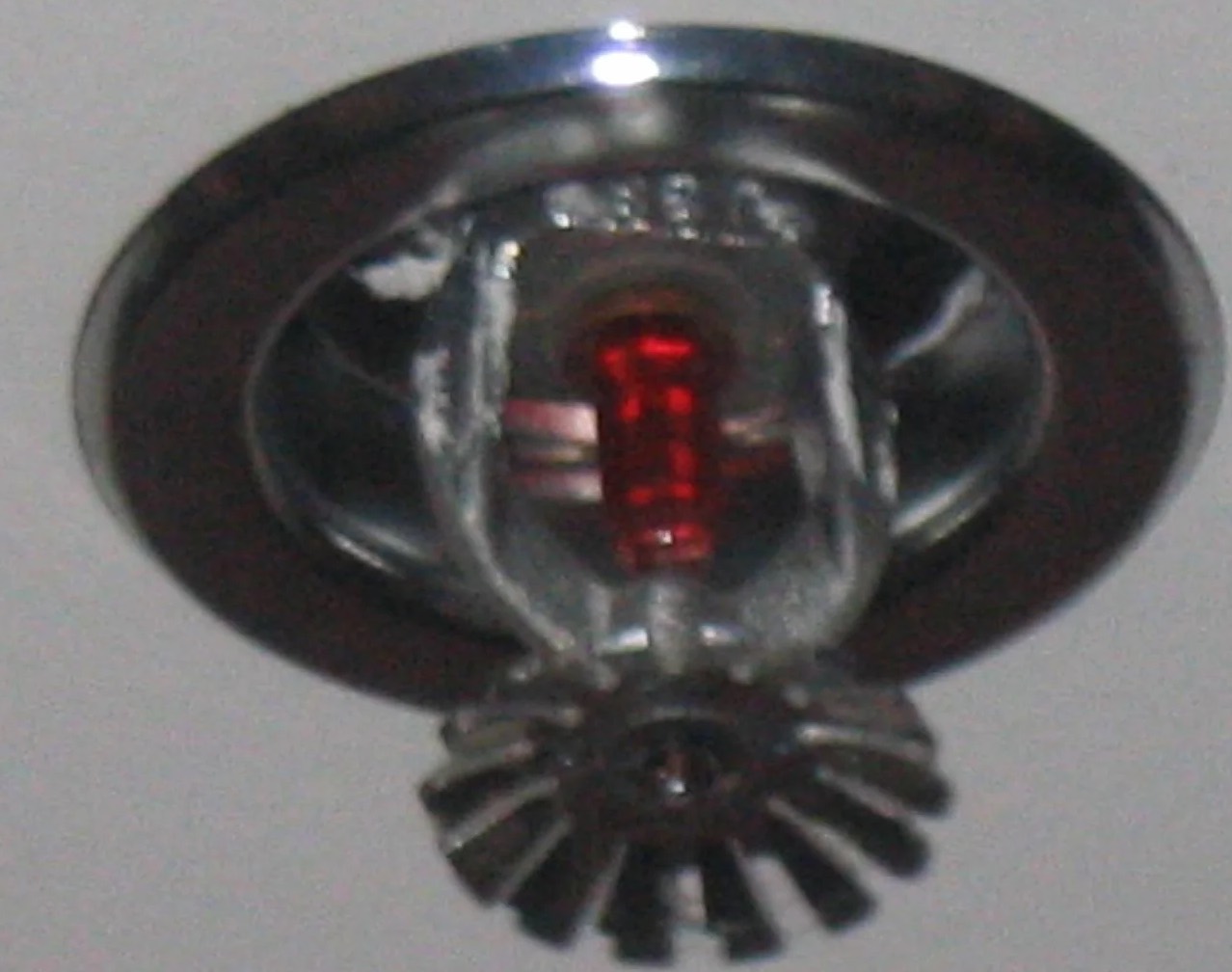 Fire Hose Water Damage Cleanup in Bellevue, WA
