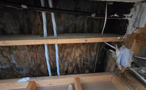 Attic Water Damage Repair in Bellevue, WA