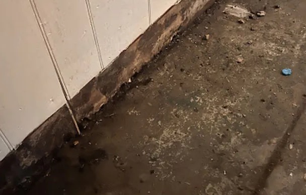 Toilet Overflow Cleanup in Bellevue, WA