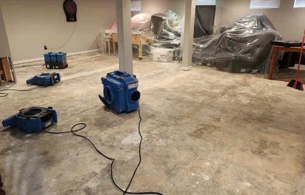 Desiccant Dehumidification in Bellevue, WA