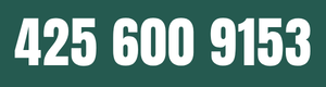 (425) 600-9153
